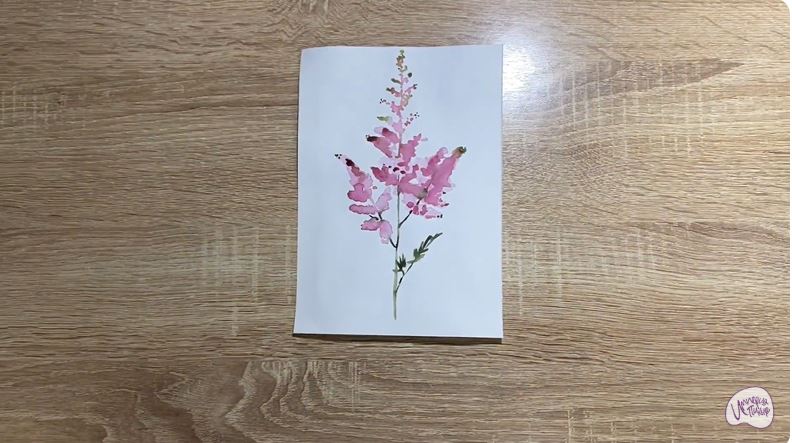 Рисуем Цветок "Астильба"