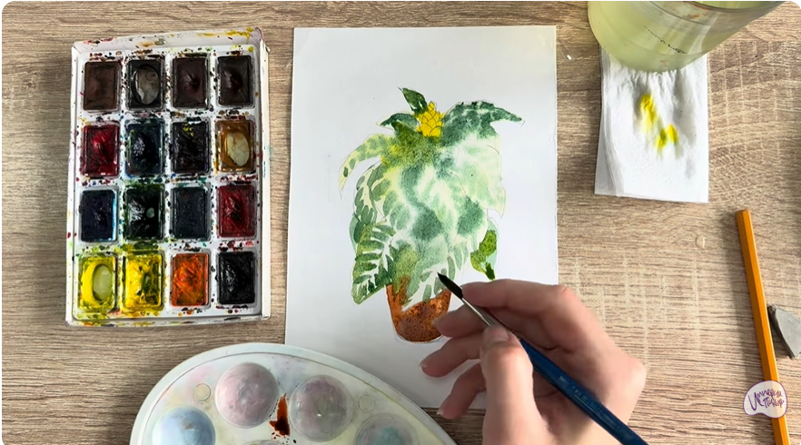 Рисуем Афеландра в горшке