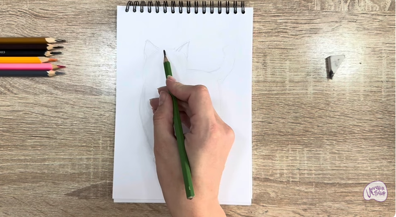 Рисуем Кошка породы "Манчкин"