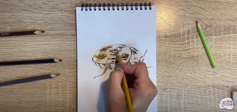 Рисуем Кожеед