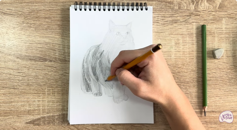 Рисуем Норвежский лесной кот