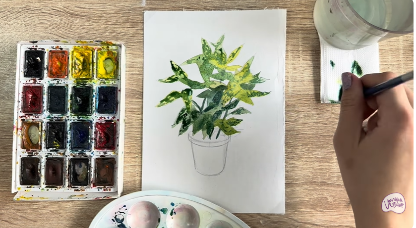 Рисуем Аукуба японская