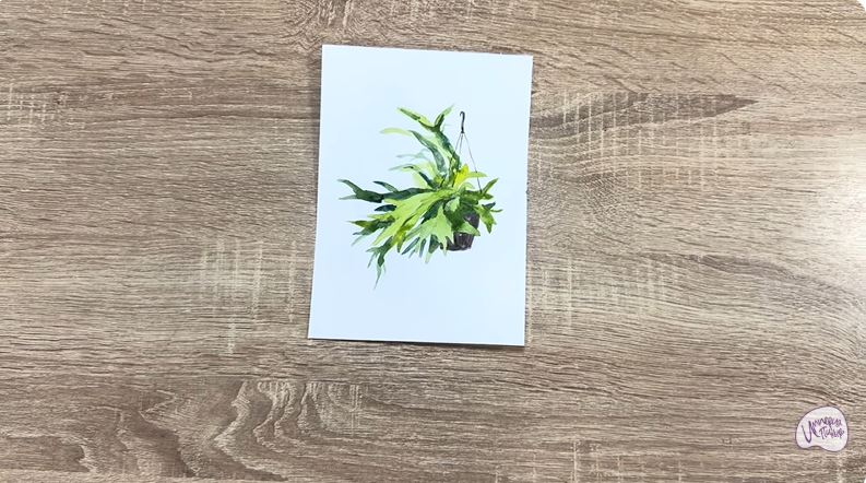 Рисуем Платицериум в горшке