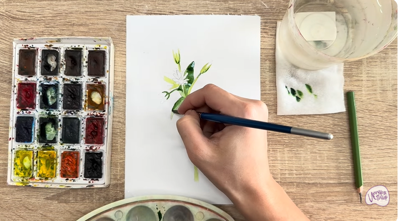 Рисуем Ясколка длинноволосая