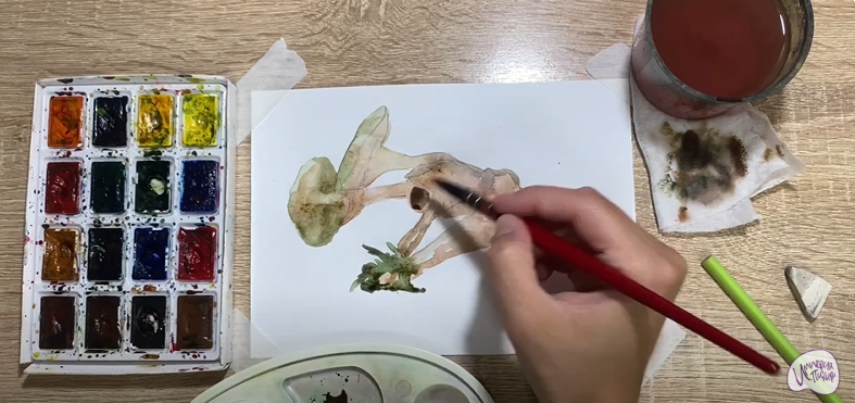 Рисуем Аскокорине торфяная