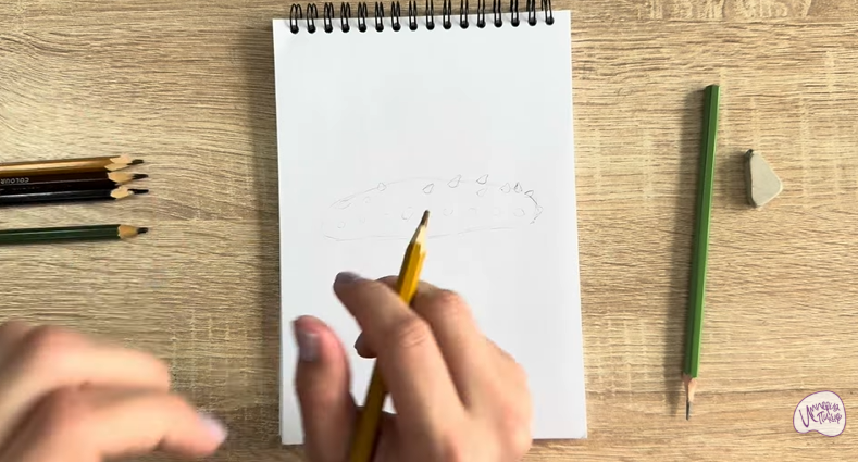 Рисуем Голотурия