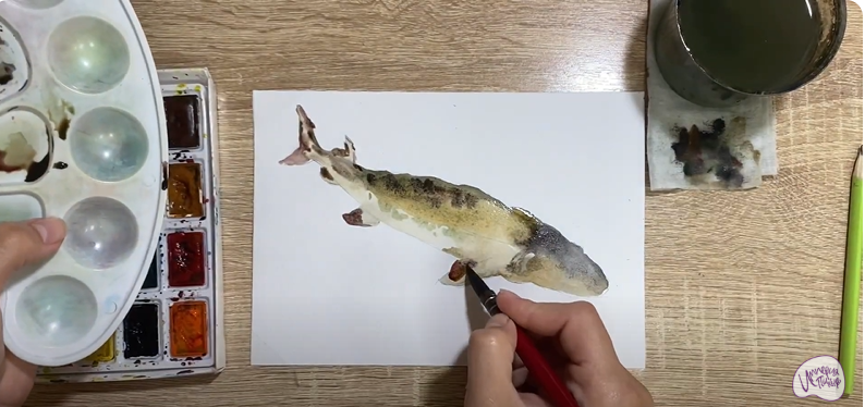 Рисуем Стерлядь