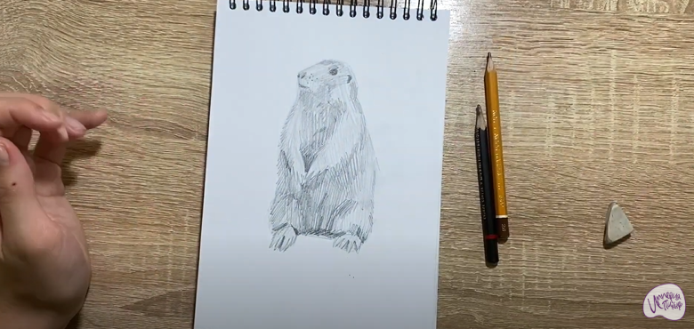 Рисуем Суслик
