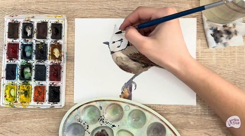 Рисуем Хохлатая синица