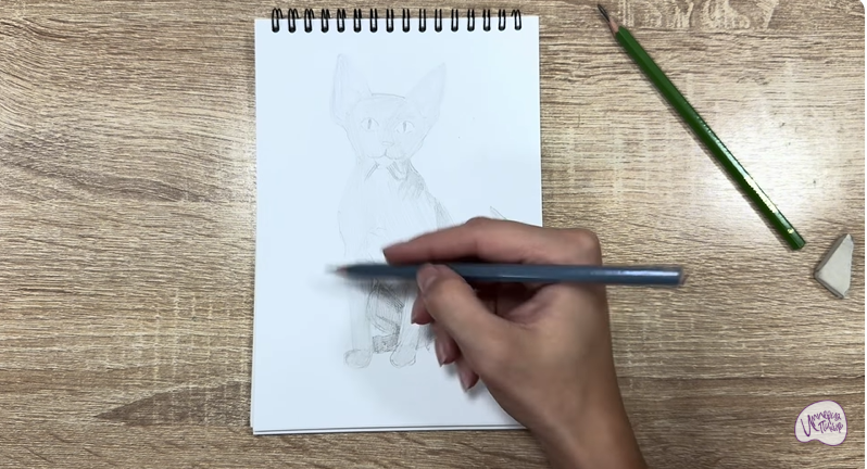 Рисуем Девон Рекс