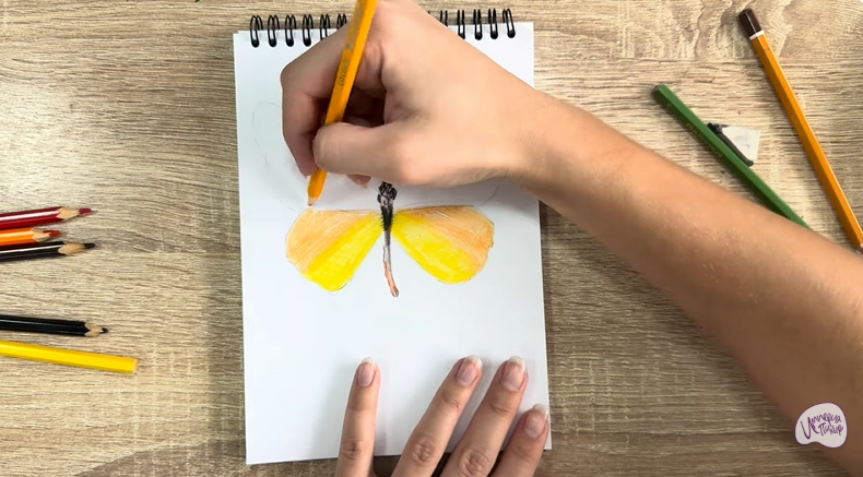 Рисуем Малинница обыкновенная