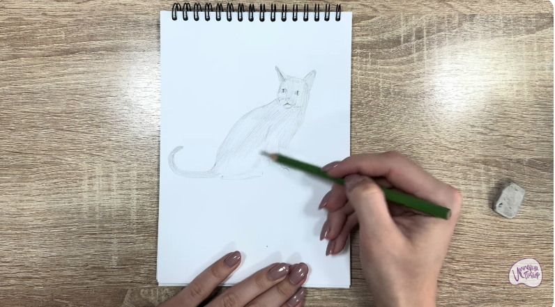 Рисуем Кот породы "Корат"