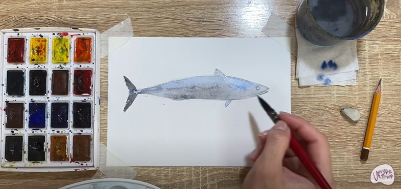 Рисуем Скумбрия