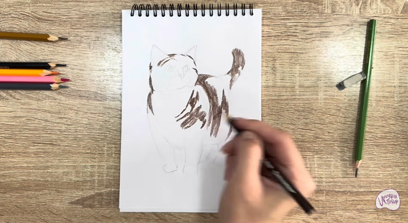 Рисуем Кошка породы "Манчкин"