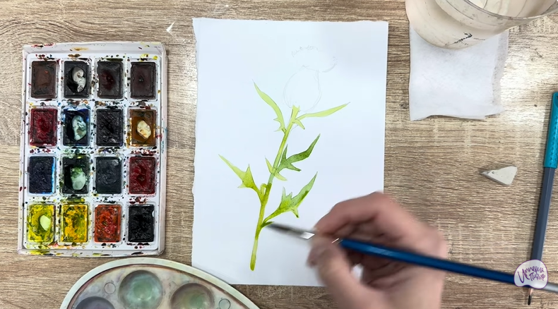 Рисуем Бодяк