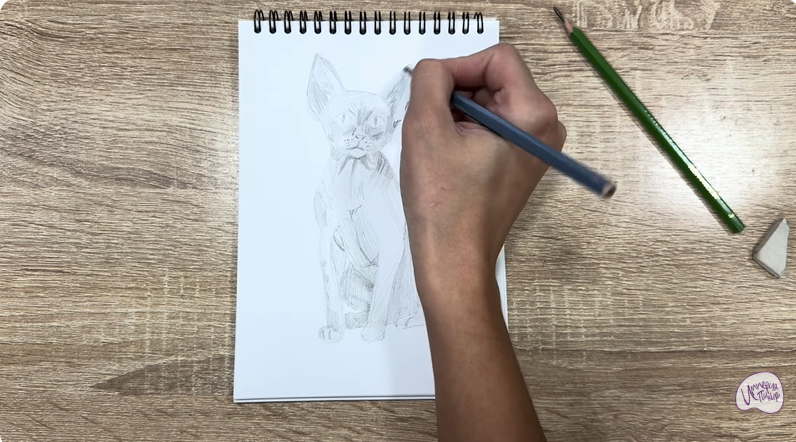 Рисуем Девон Рекс