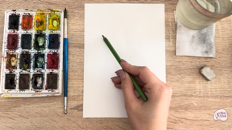 Рисуем Саженец бирючины