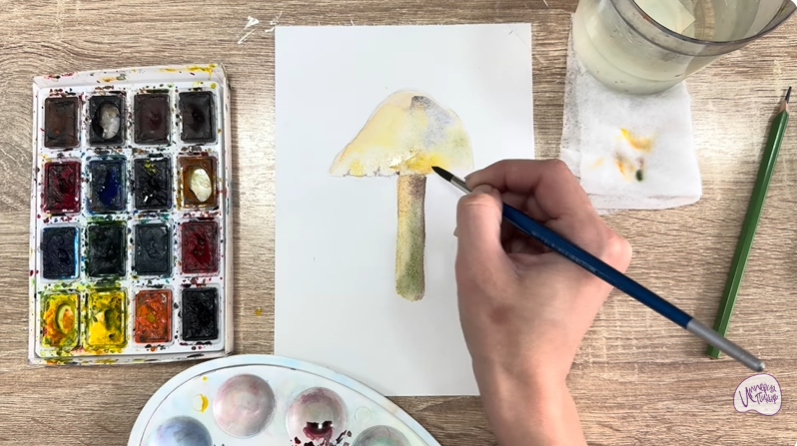 Рисуем Колпак кольчатый