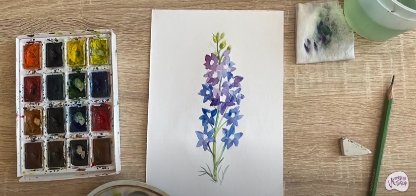 Рисуем Живокость