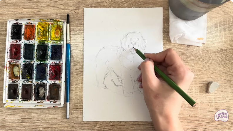 Рисуем Собака породы Ньюфаундленд