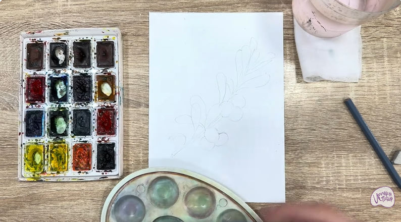 Рисуем Толокнянка