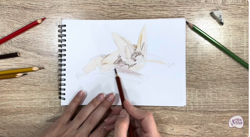 Рисуем Бурый ушан