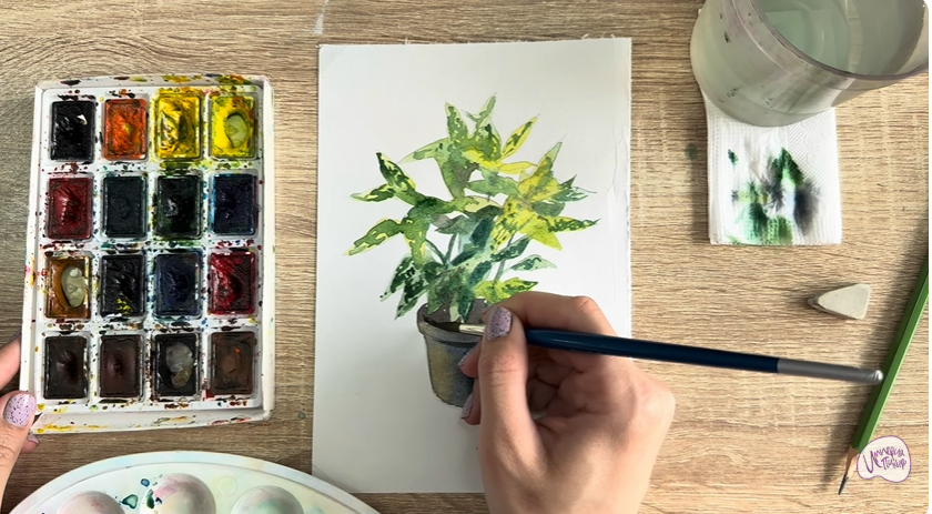 Рисуем Аукуба японская