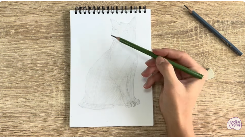 Рисуем Бурманский кот