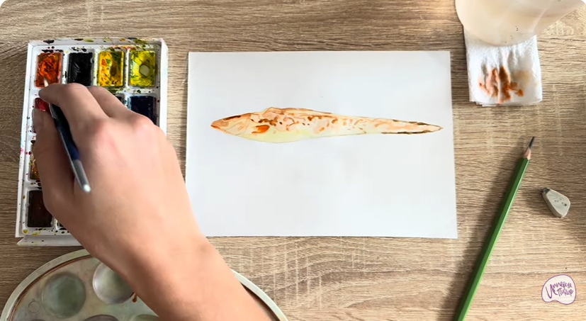 Рисуем Конгрио