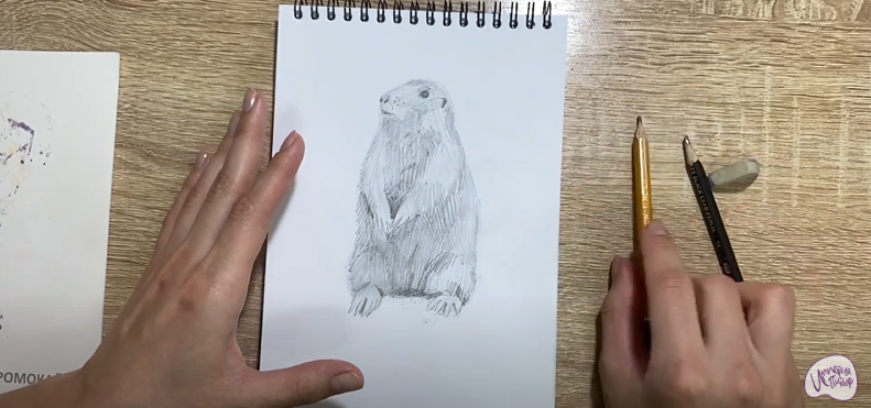 Рисуем Суслик