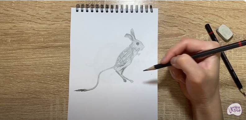 Рисуем Тушканчик