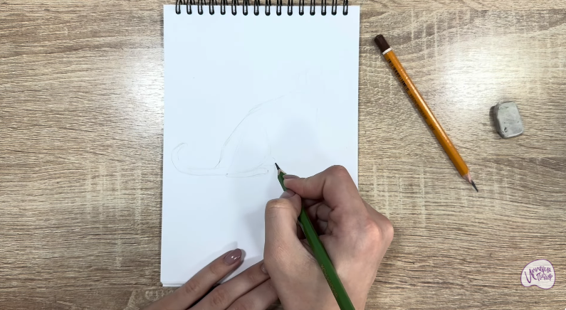 Рисуем Кот породы "Корат"