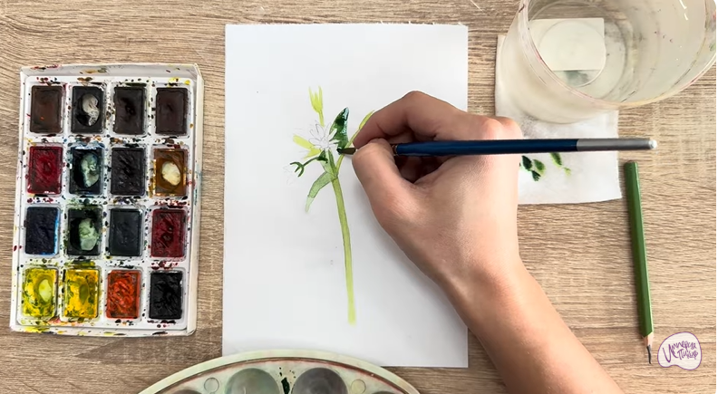 Рисуем Ясколка длинноволосая