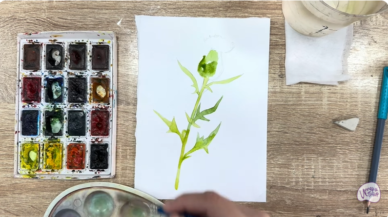 Рисуем Бодяк