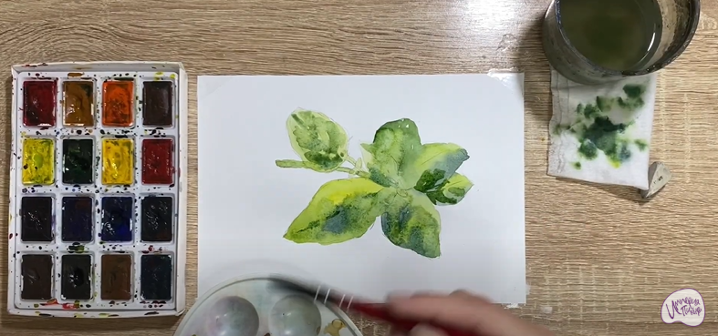 Рисуем Базилик