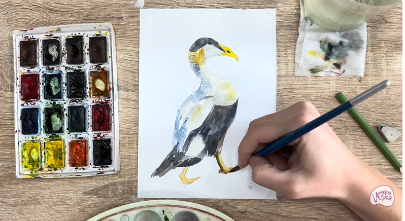 Рисуем Обыкновенная гага