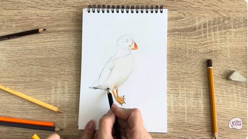 Рисуем Птица тупик