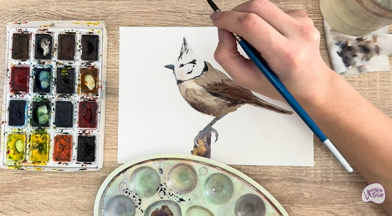 Рисуем Хохлатая синица