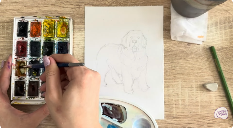 Рисуем Собака породы Ньюфаундленд