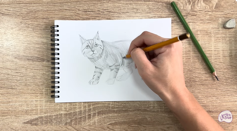 Рисуем Пиксибоб