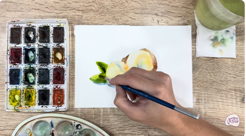 Рисуем Макадамия