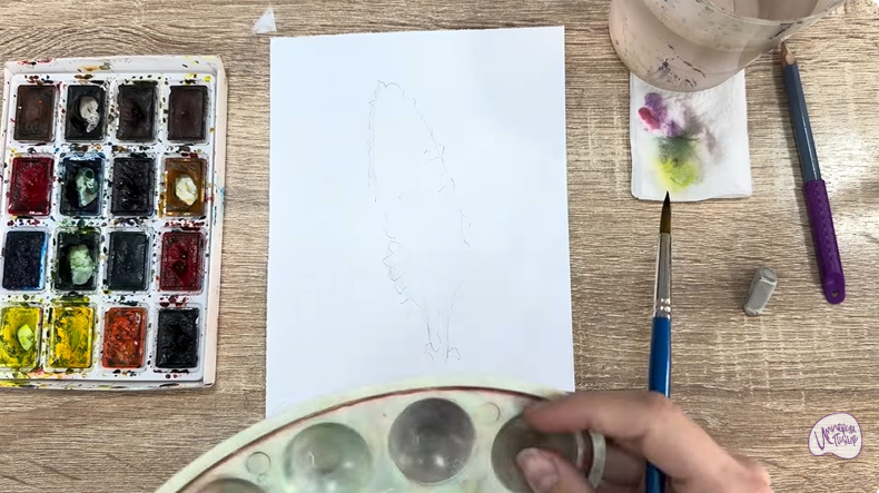 Рисуем Цистанхе