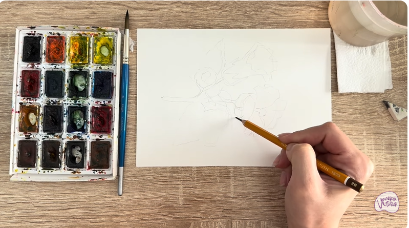 Рисуем Алтей лекарственный