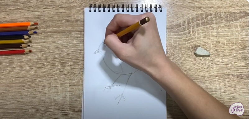 Рисуем Птичка "Зарянка"