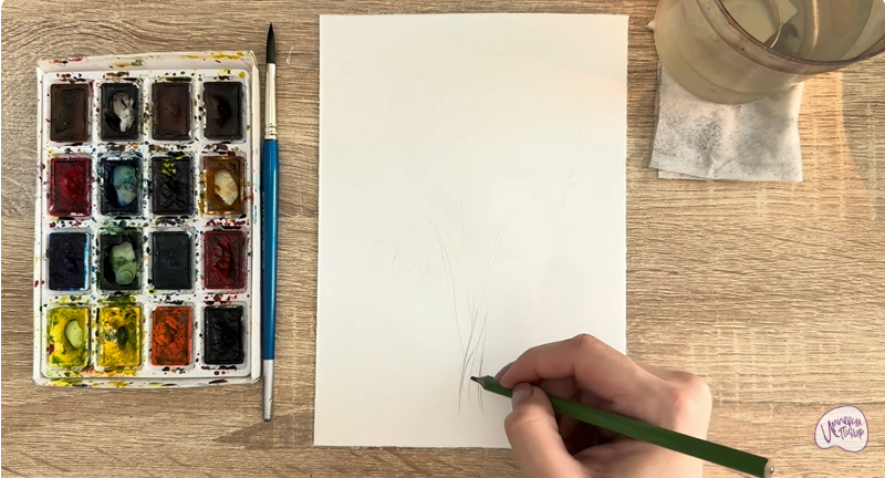 Рисуем Багрянник японский