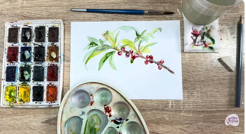 Рисуем Волчья ягода