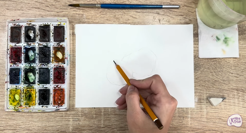 Рисуем Макадамия