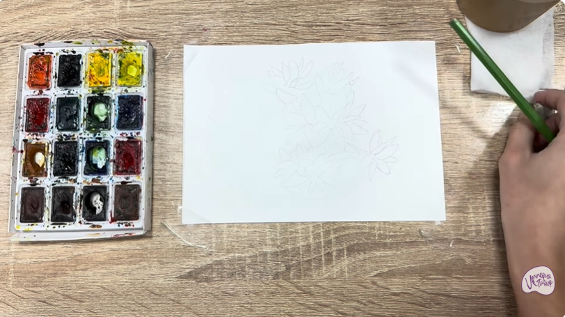 Рисуем Очиток