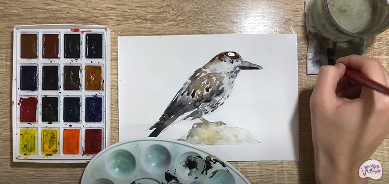 Рисуем Кедровка