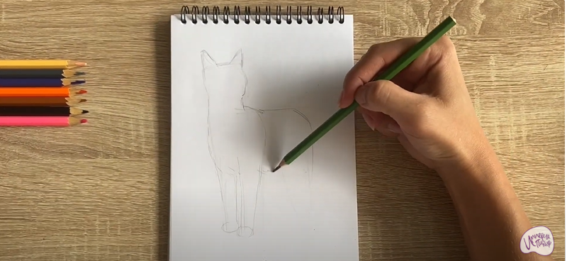 Рисуем Кот породы "японский бобтейл"